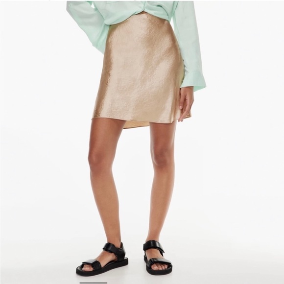Aritzia Dresses & Skirts - Aritzia Babaton Slip Mini Skirt